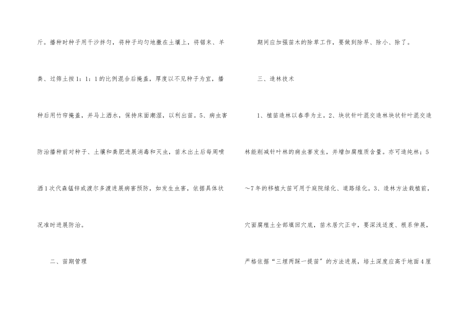 桦树育苗与造林技巧分析_第3页