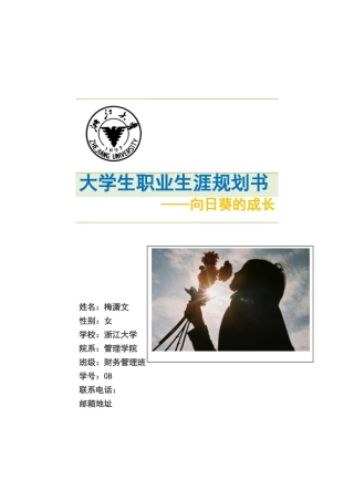 梅潇文职业生涯规划书