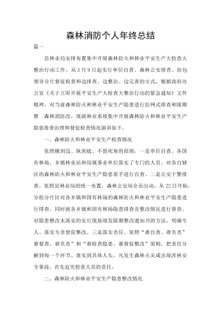森林消防个人年终总结