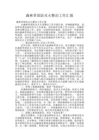 森林草原防灭火整治工作汇报