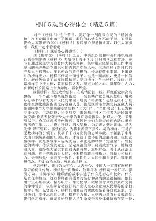 榜样5观后心得体会