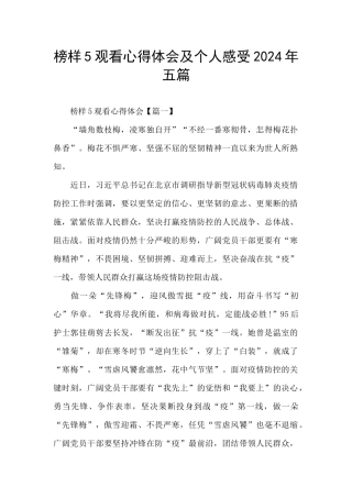 榜样5观看心得体会及个人感受2024年五篇