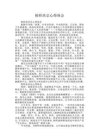榜样西京心得体会