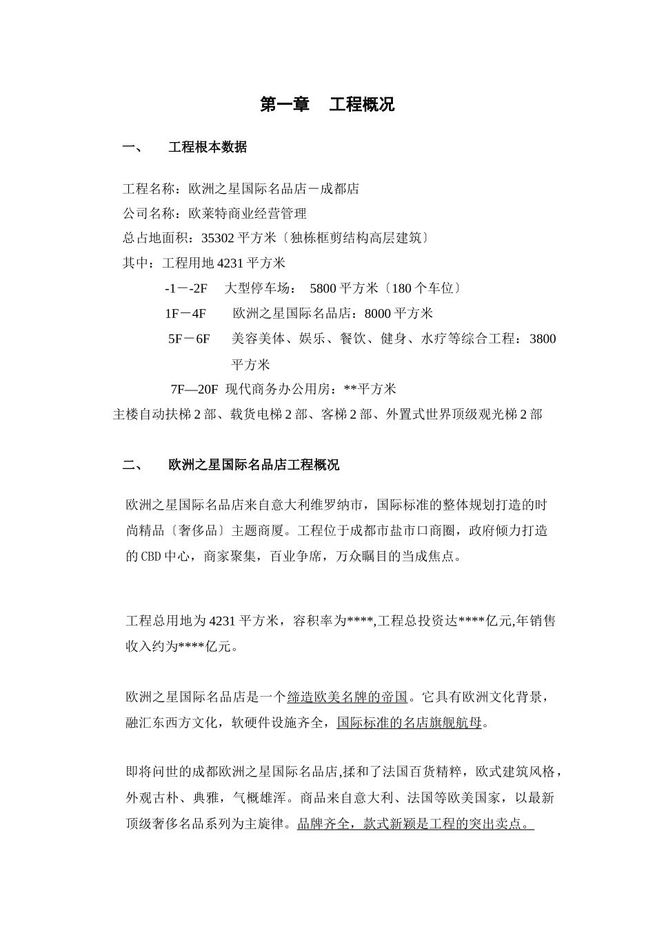 欧洲之星国际名品店项目投资策略_第2页