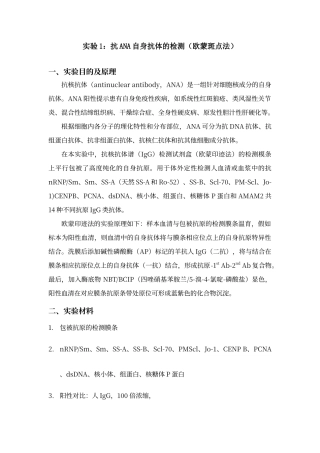 欧蒙印迹法检测ANA抗核抗体