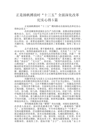 正是扬帆搏浪时“十三五”全面深化改革纪实心得5篇