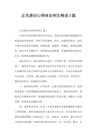 正风肃纪心得体会例文精选5篇