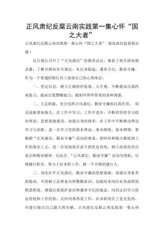 正风肃纪反腐云南实践第一集心怀“国之大者”