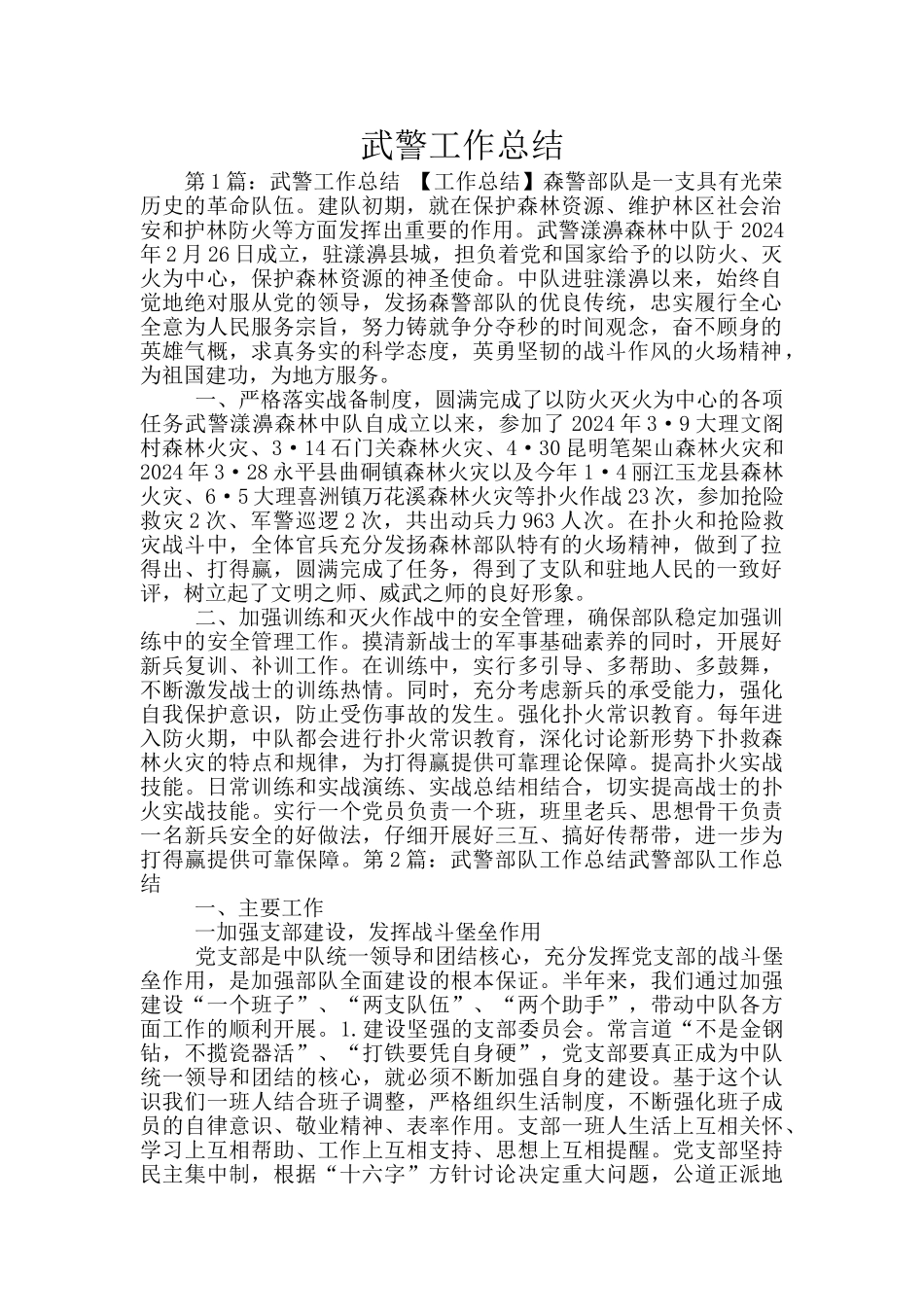 武警工作总结_第1页