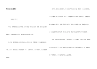 母校初三优秀高分