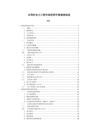 比利时电力市场管理概述