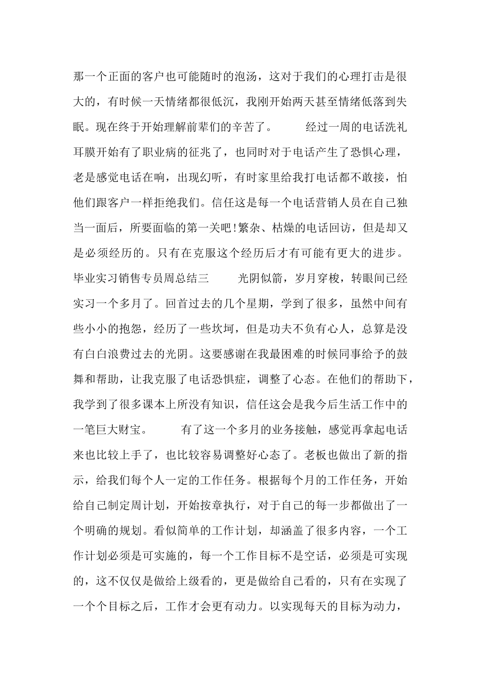毕业实习销售专员周总结5篇_第2页