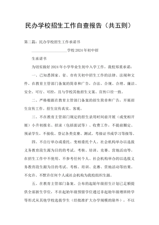民办学校招生工作自查报告