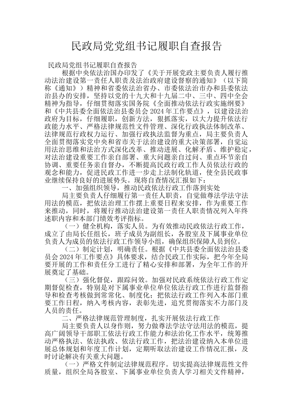 民政局党党组书记履职自查报告_第1页