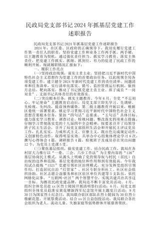 民政局党支部书记2024年抓基层党建工作述职报告