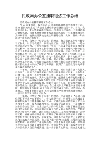 民政局办公室挂职锻炼工作总结