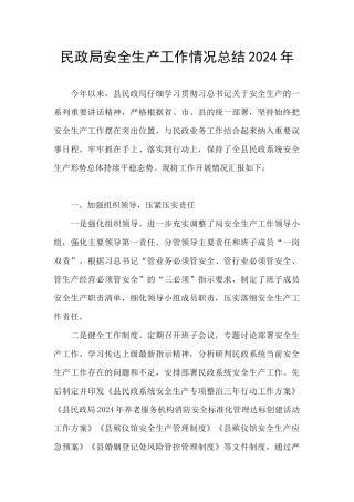 民政局安全生产工作情况总结2024年