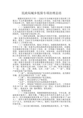 民政局城乡低保专项治理总结