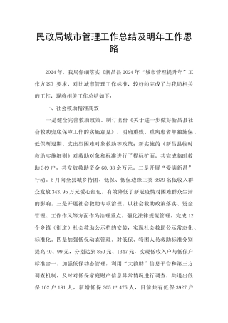 民政局城市管理工作总结及明年工作思路