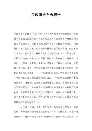 民政资金自查报告