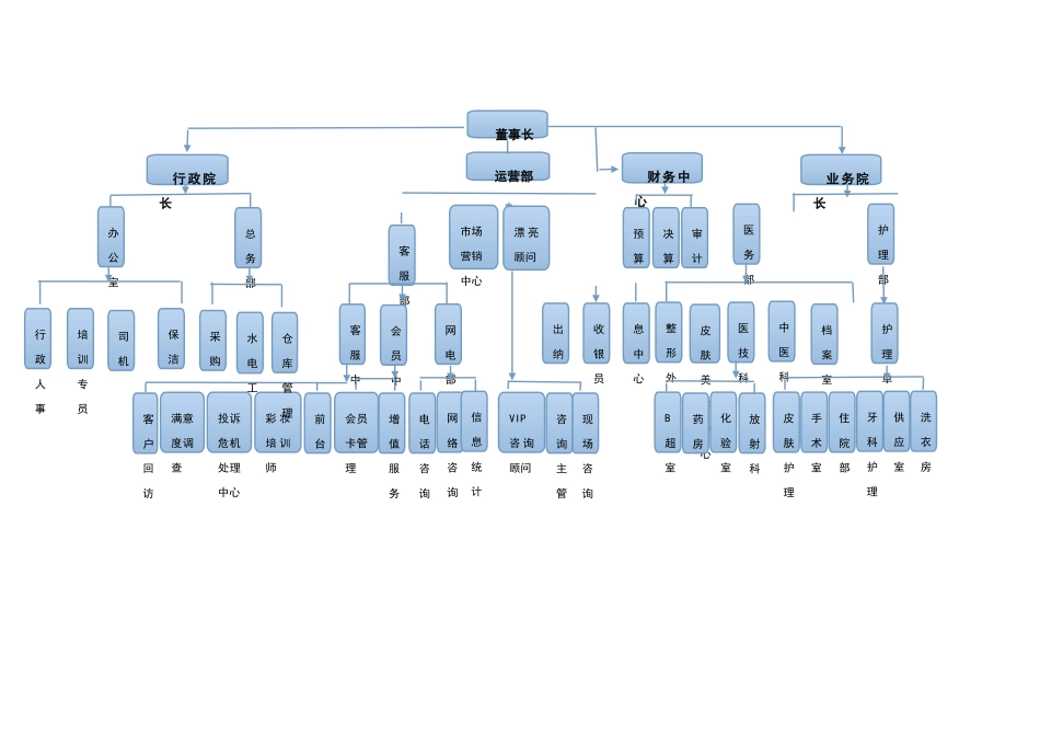 民营医院组织架构图示_第1页