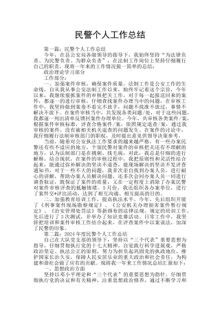 民警个人工作总结