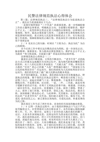 民警规范执法心得体会