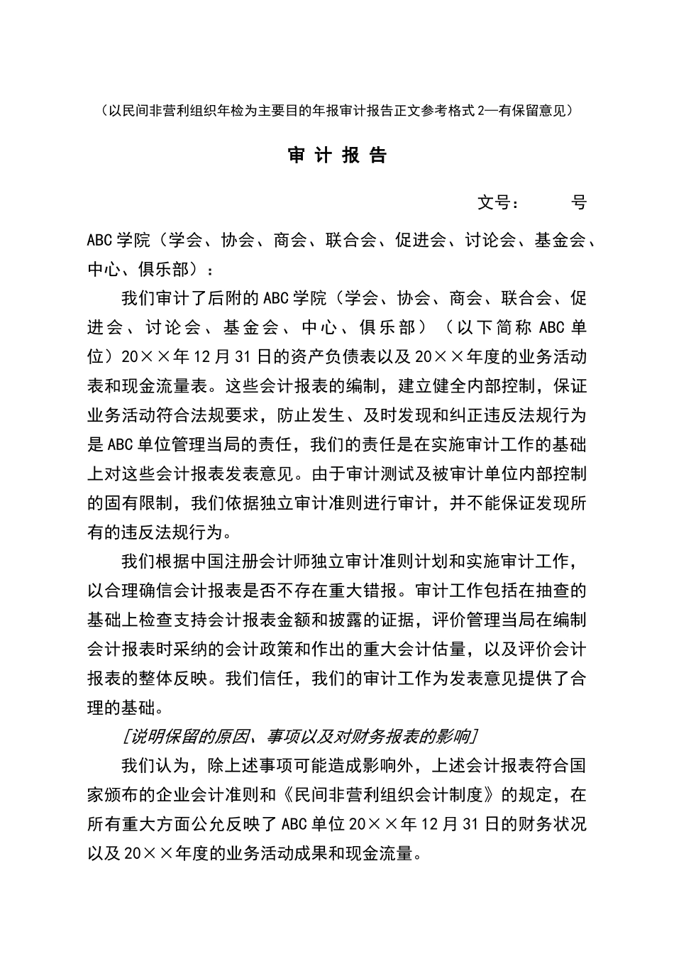 民间非营利组织年检审计报告参考格式_第3页