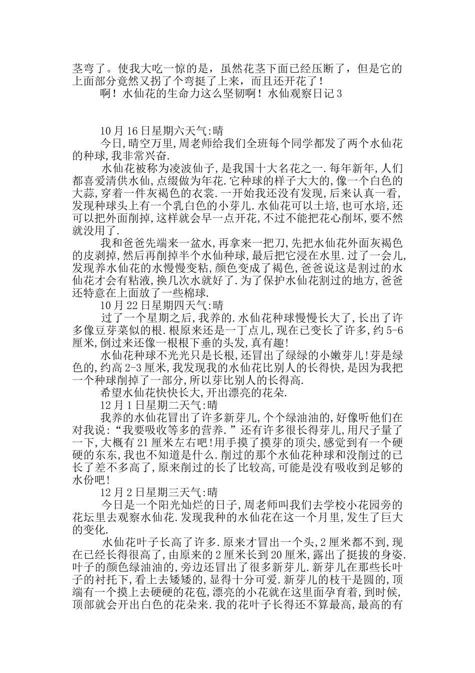 水仙观察日记3篇_第3页