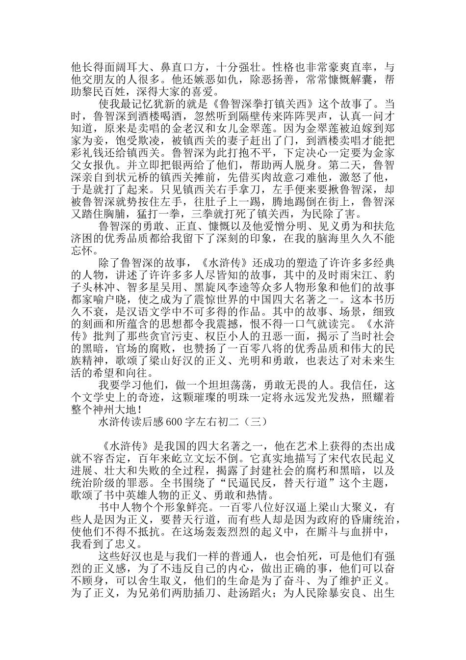 水浒传读后感600字左右初二_第2页