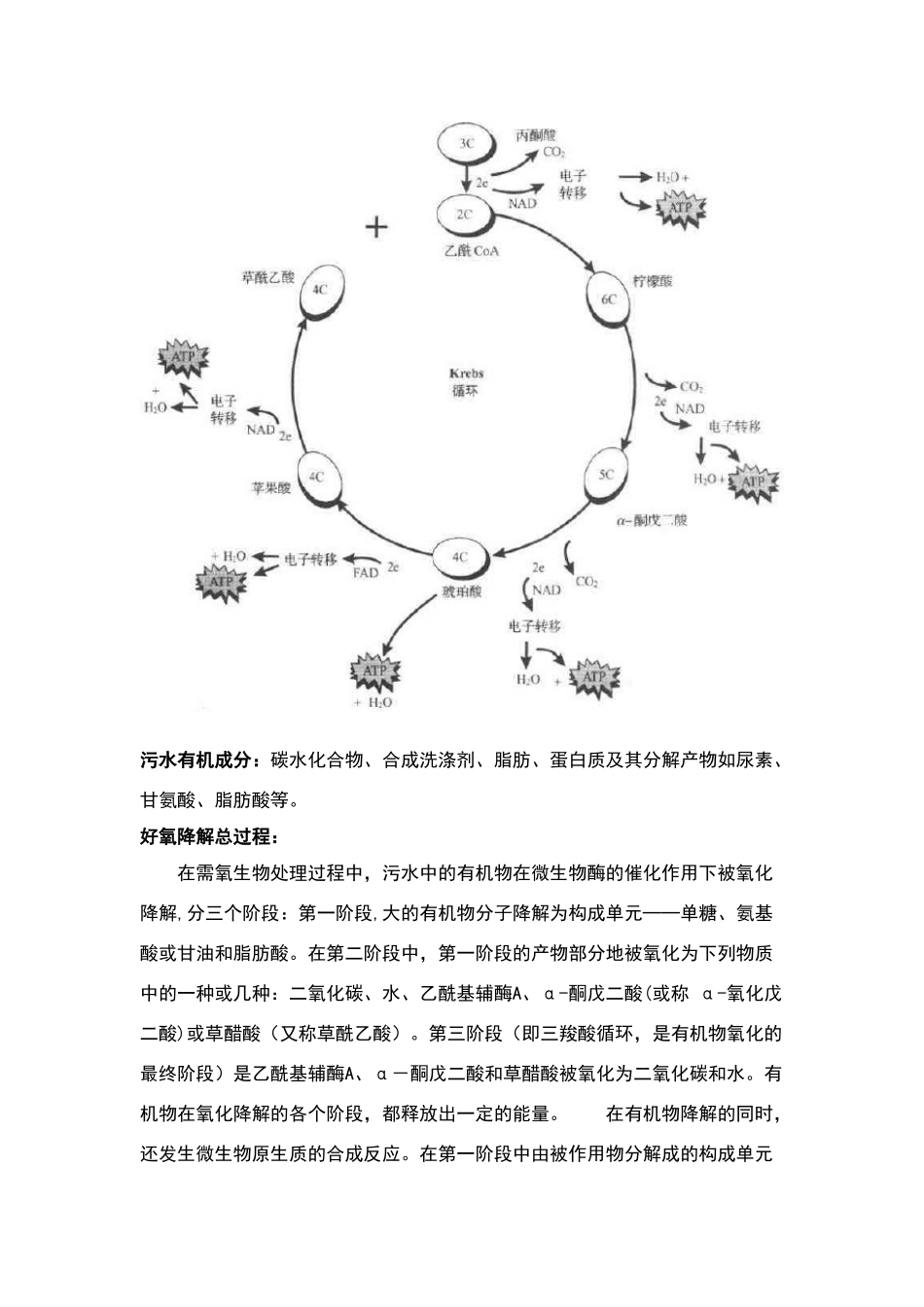 污水处理知识小结_第3页