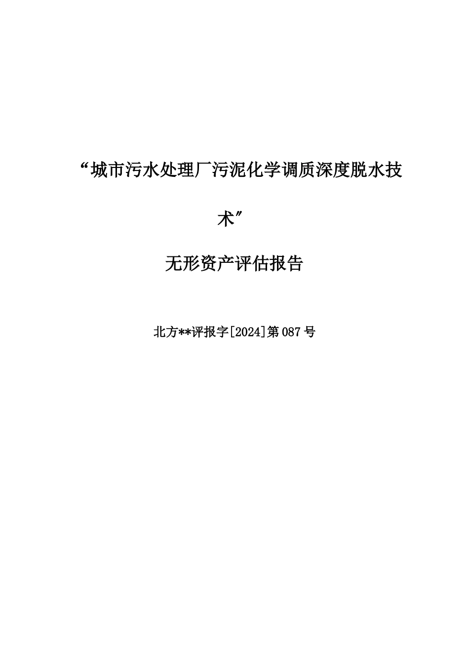 污泥焚烧技术无形资产评估报告_第2页