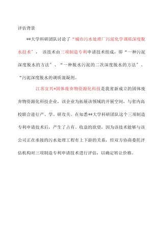 污泥焚烧技术无形资产评估报告