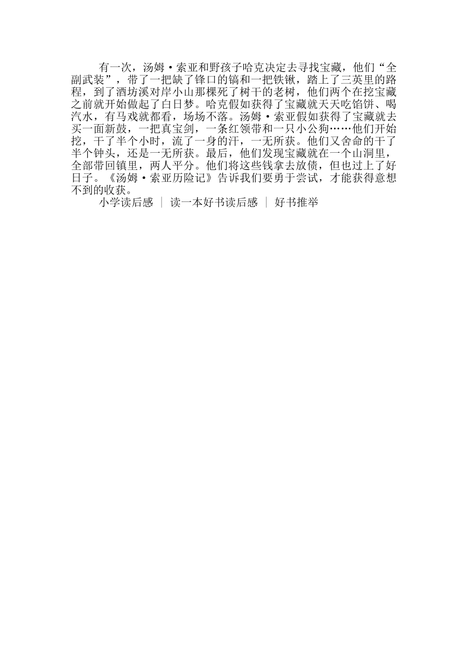 汤姆索亚历险记读后感500字小学生_第3页
