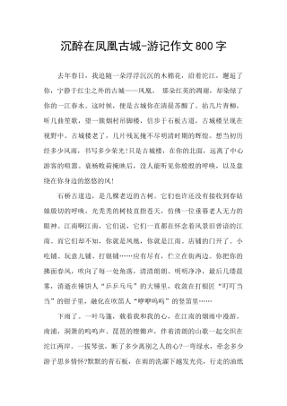 沉醉在凤凰古城