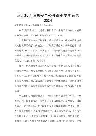 河北校园消防安全公开课小学生有感2024