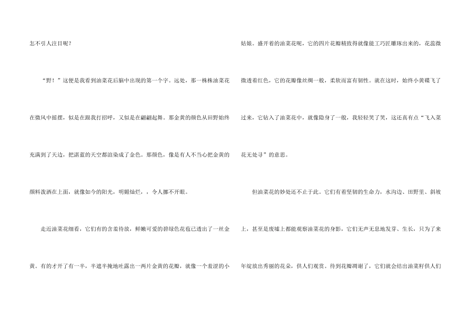 油菜花集合15篇_第3页