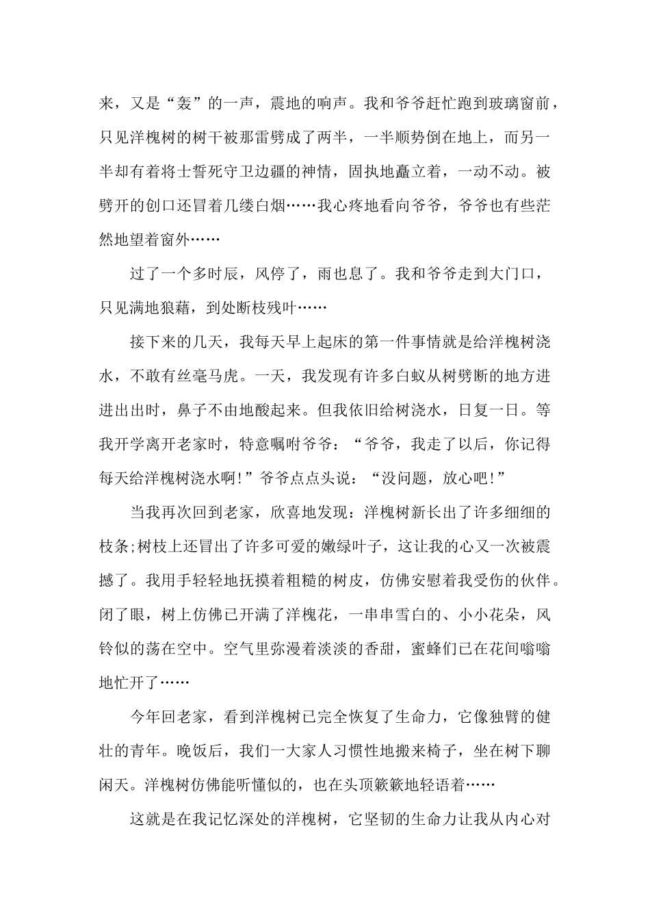 洋槐树在我记忆深处_第2页