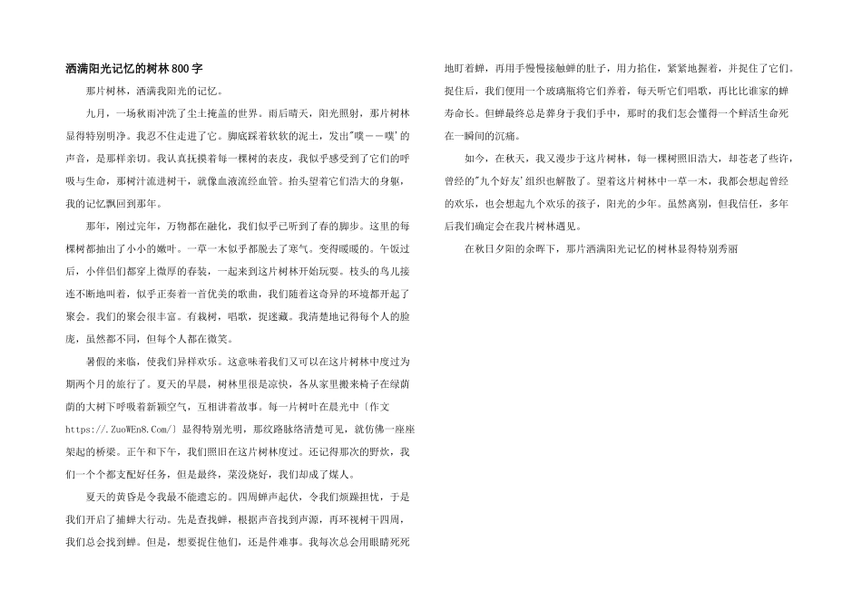 洒满阳光记忆的树林800字_第1页