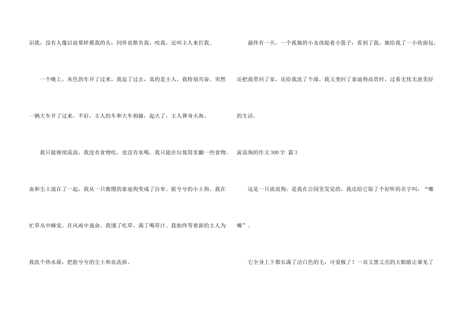 流浪狗的300字4篇_第3页