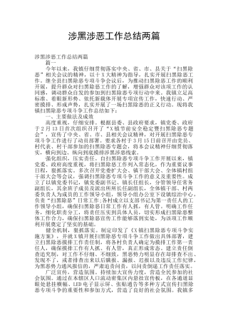 涉黑涉恶工作总结两篇
