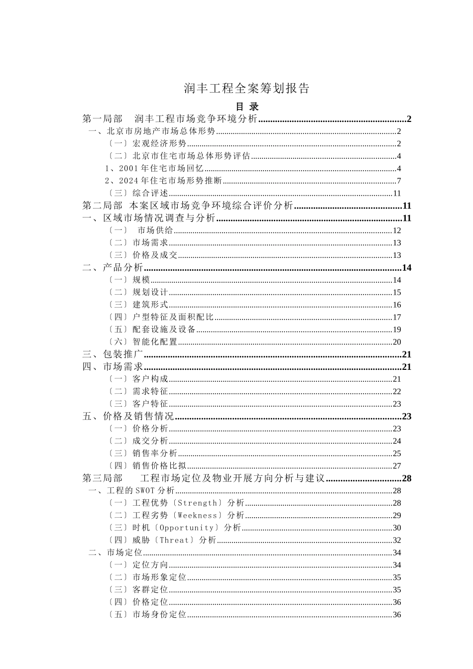 润丰项目全程策划报告_第1页