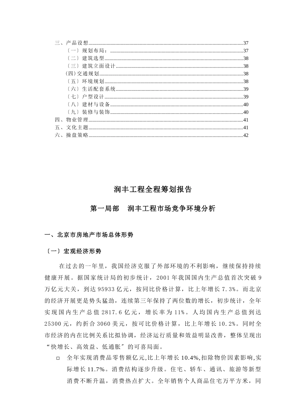 润丰项目全程策划报告_第2页