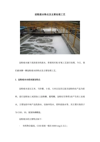 淀粉废水特点及处理工艺