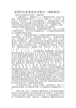 深圳市长质量奖自评报告