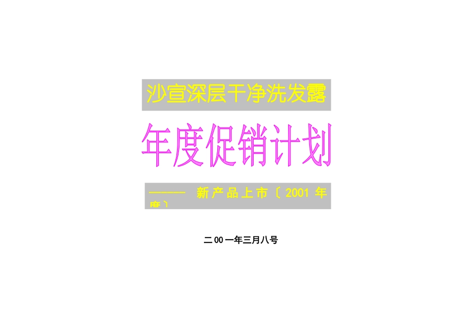 深层洁净洗发露年度促销计划新产品上市_第1页