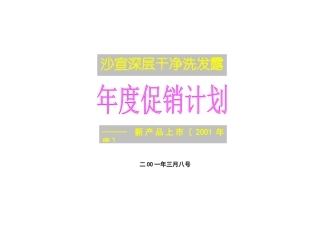 深层洁净洗发露年度促销计划新产品上市