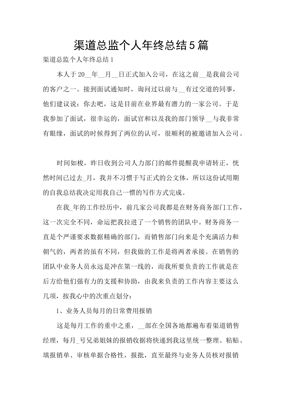 渠道总监个人年终总结5篇_第1页