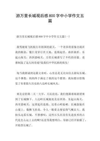 游万里长城观后感800字中小学作文五篇