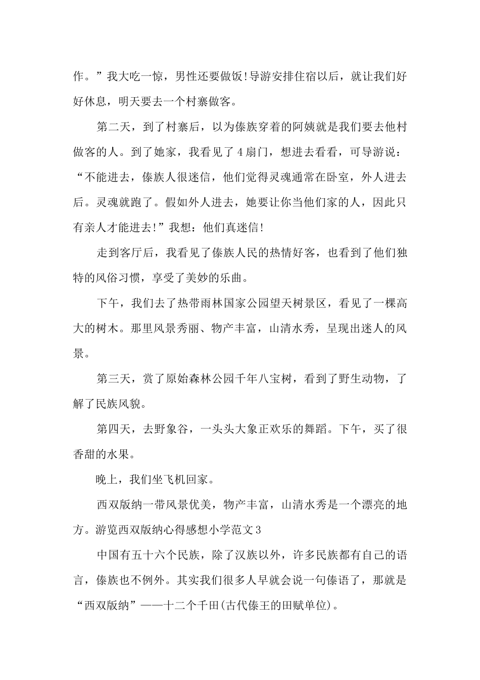 游览西双版纳心得感想小学_第3页